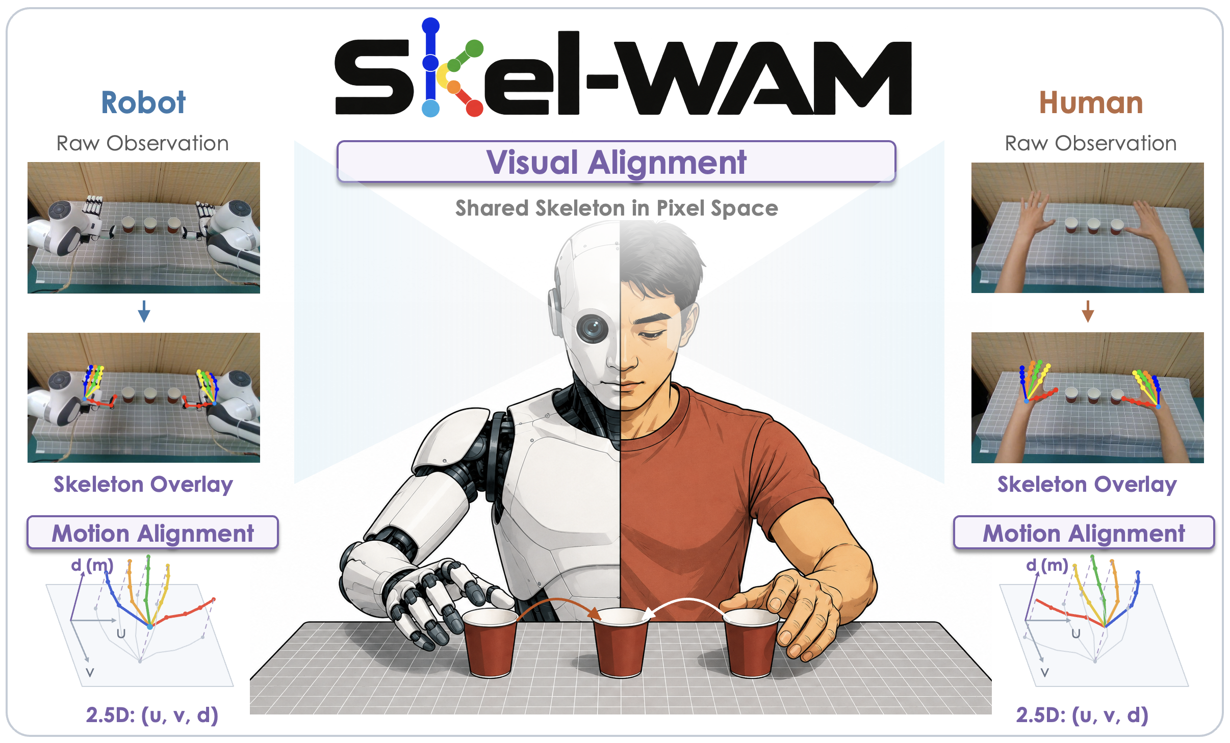 Skel-WAM project preview